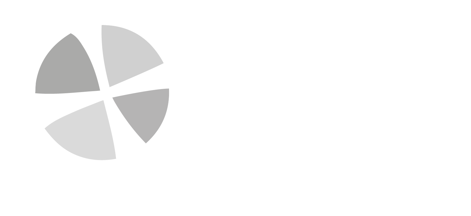 International Academic Program